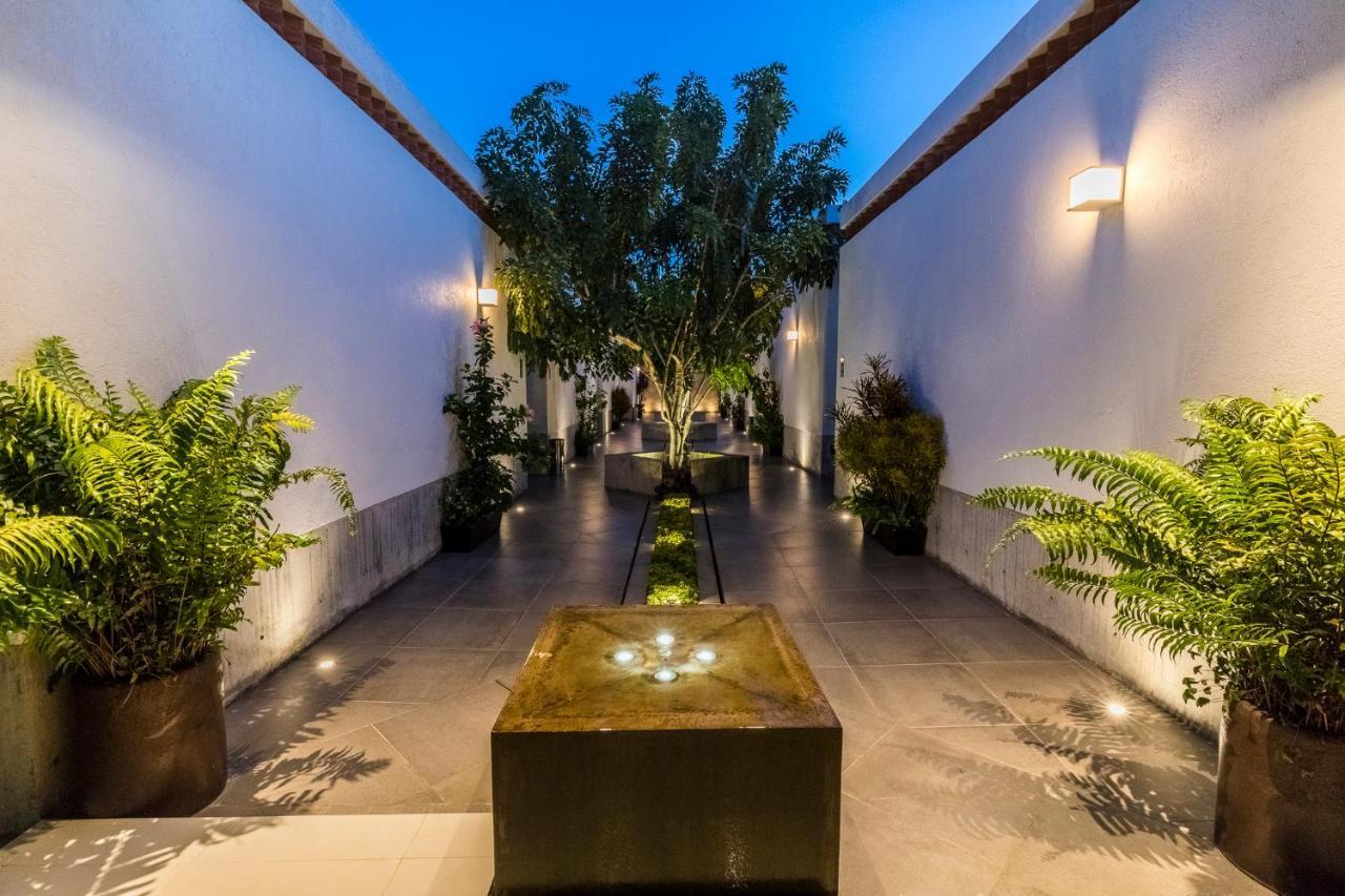 Marialicia Suites, Hotel Boutique Oaxaca Eksteriør billede